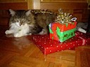 Which is my present?