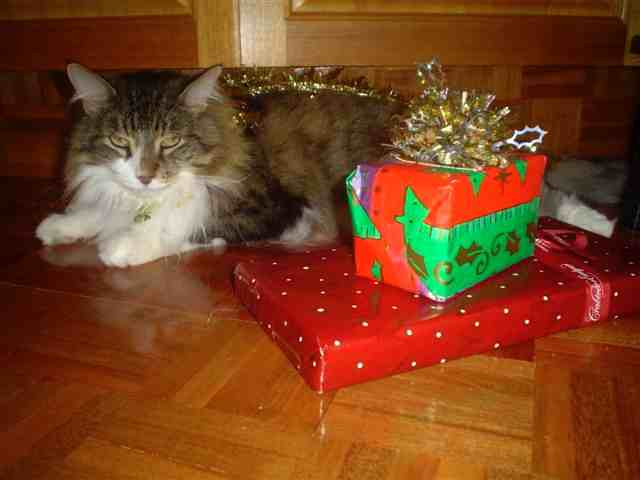 Which is my present?