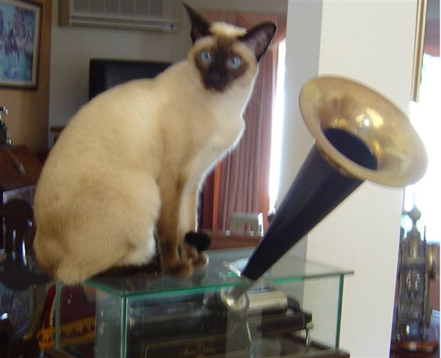 Her masters voice